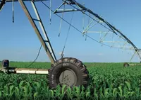   BKT tr 117 tirkamasi va yarim tirkamali shinalar  026220