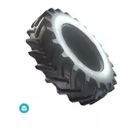 Шины для сельскохозяйственной техники BKT Agrimax RT 765  035852