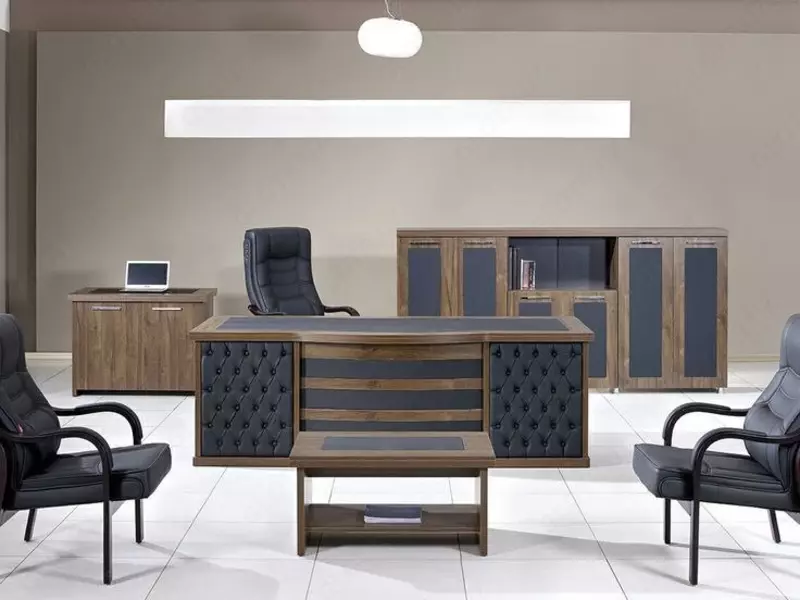 Корпусная декорированная офисная мебель. Модель № 44 (Ясень/черный)