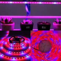 Фитоленты SMD "LUMI" 12V