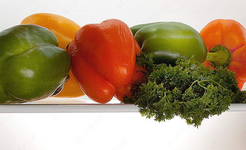 Холодильник двухкамерный бытовой POZIS-Мир-244-1