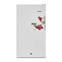 Холодильник GRF-120L - 2 665 000 so'm