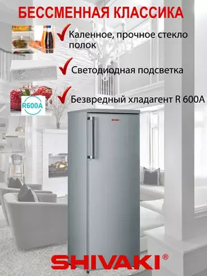 Холодильник Shivaki HS 228 RN, серый металлик
