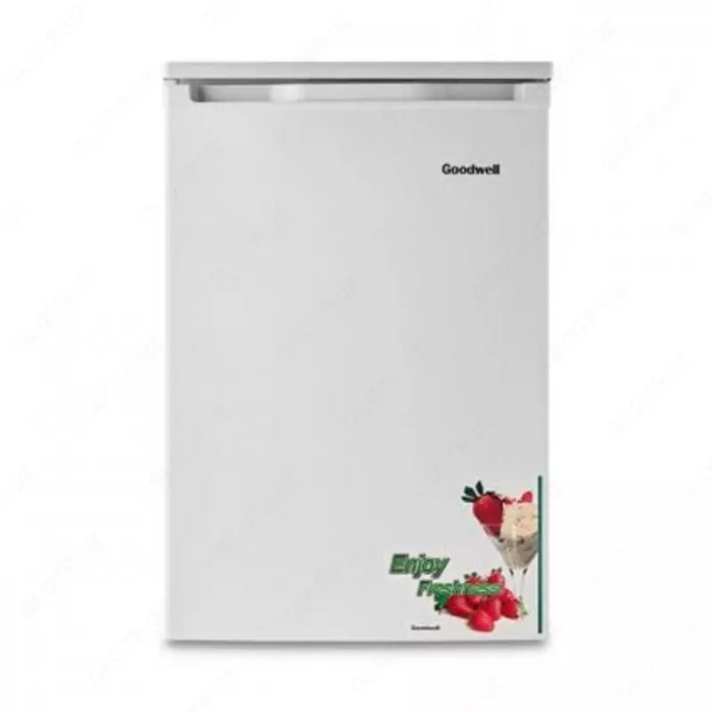 Goodwell GRF-108FN muzlatgichi