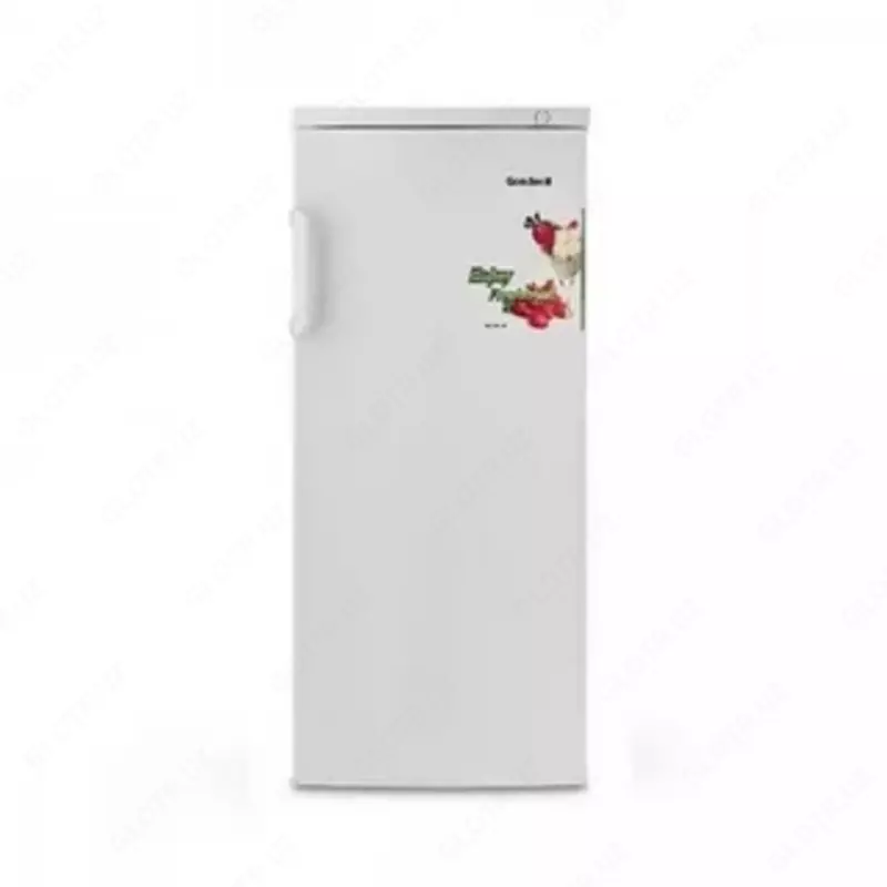 Goodwell GW 208 FN muzlatgichi