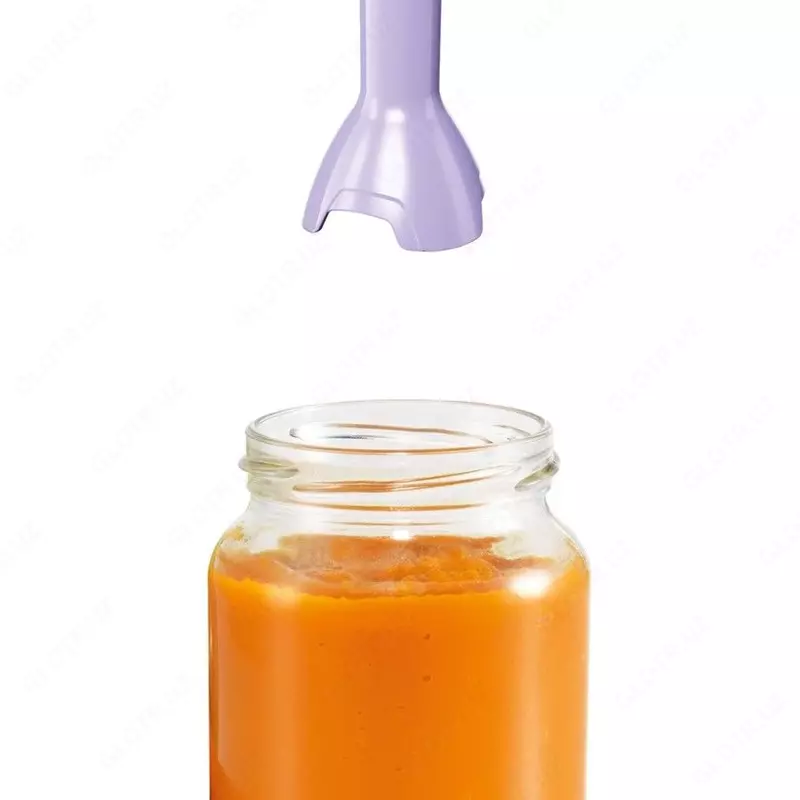 Блендер Bosch MSM2413V