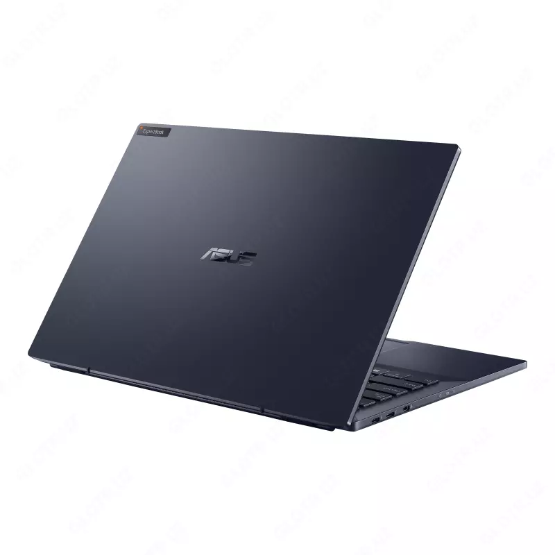 Asus EXPORT B3 flip