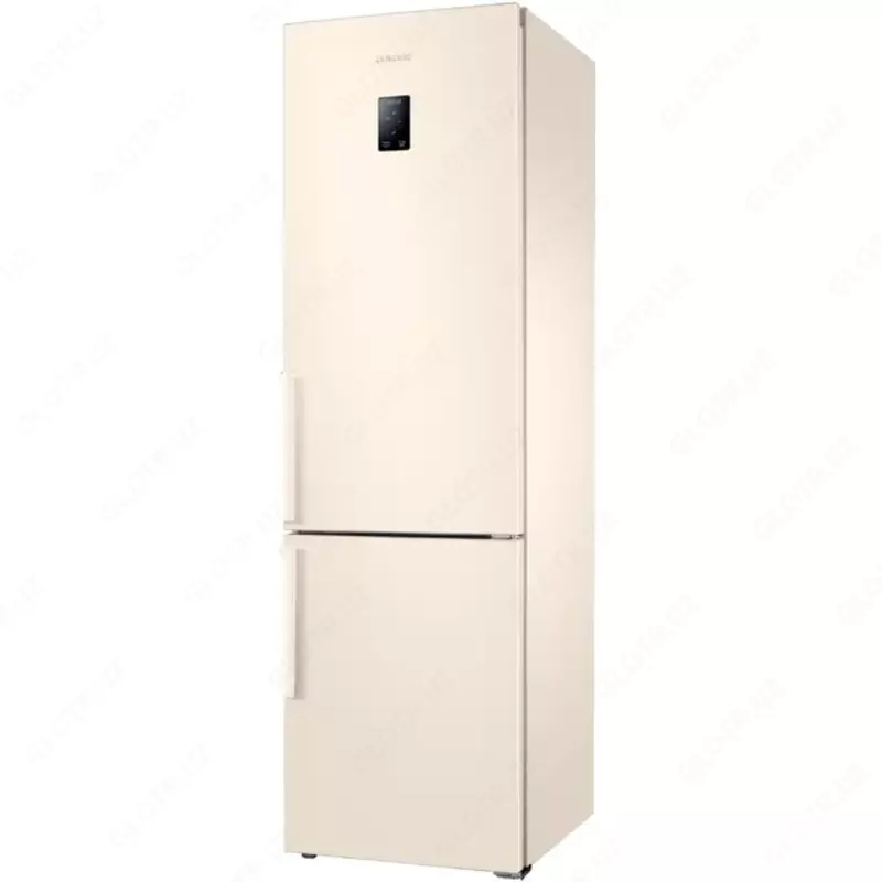 RB 37 P5300EL/W3 (beige)