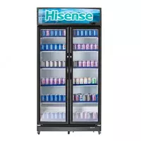 Холодильник Hisense FL81WC