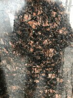 от {0} сум Гранит Тан Браун| Granite Tan Brown