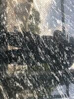  Гранит Black Forest - 