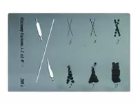 Адгезиметр Константа АХ