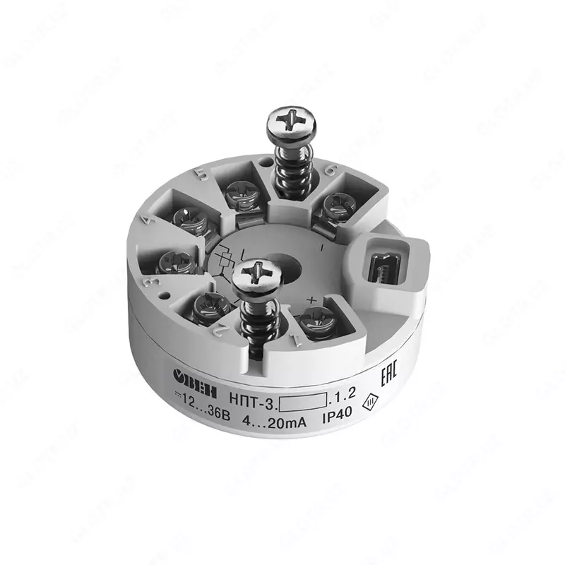 Sensor boshidagi qarshilik termometrlari va termojuftlar uchun normallashtiruvchi konvertorlarning NPT liniyasi