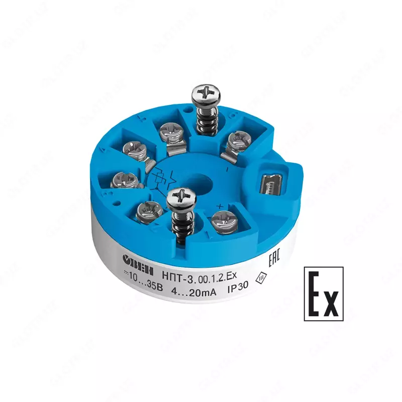 Sensor boshidagi qarshilik termometrlari va termojuftlar uchun normallashtiruvchi konvertorlarning NPT liniyasi