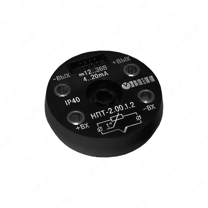 Sensor boshidagi qarshilik termometrlari va termojuftlar uchun normallashtiruvchi konvertorlarning NPT liniyasi