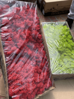 Леукобриум сизый (мох)