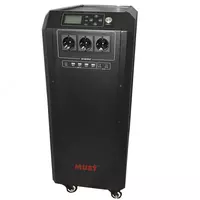 Инвертор MUST 2 kw MTTP контроллером.