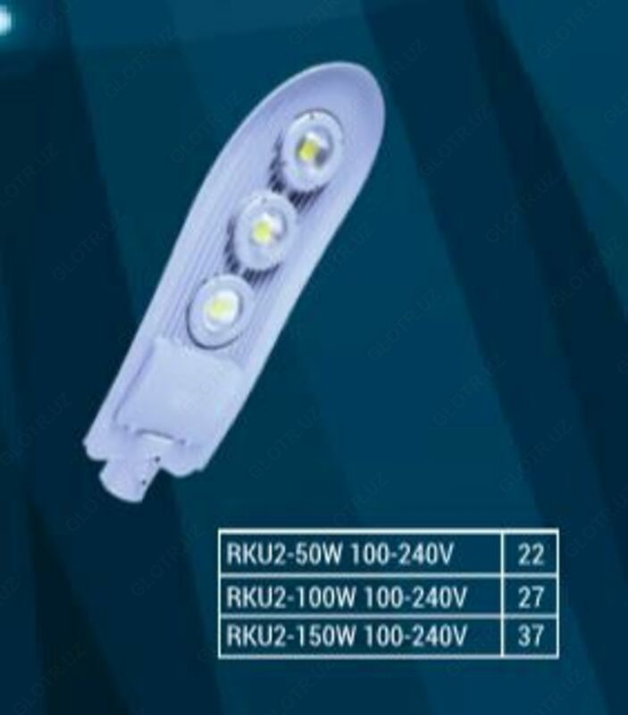 DUSEL RKU2-100W 100-265V ko'cha chiroqlari