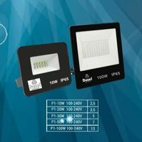 Прожекторы DUSEL P1-30W
