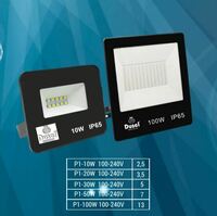 Прожекторы DUSEL P1-100W - 