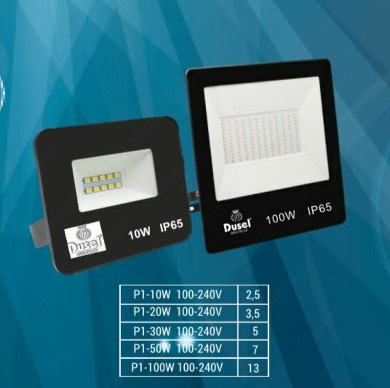 Прожекторы DUSEL P1-100W - 