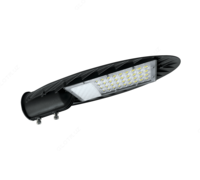 Прожектор светодиодный DUSEL electrical LED Prijector P5 100W