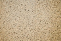 «Новобалт–Евролин» Линолеум Премиум 2 метра