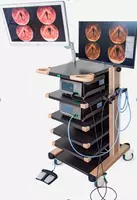 CHAMMED endoskopik video tizimi 4K FX-V3