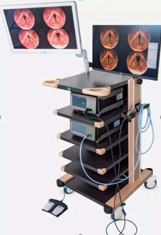 CHAMMED endoskopik video tizimi 4K FX-V3