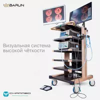 Эндоскопическая система FX-V1 Только в розницу