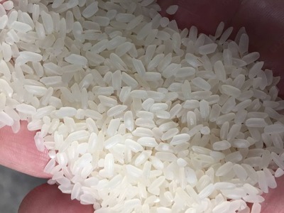 Рис "Нукус" оптом