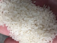 "Nukus" guruchi ulgurji savdo