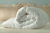 Услуга по стирке шерстяного или пухового одеяла (двуспальное)