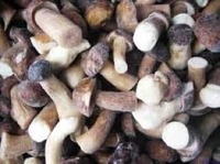  Белые грибы целые - 