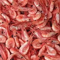 170 000 so'm 50/70 og'irlikdagi qisqichbaqalar