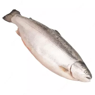 Форель охлажденная