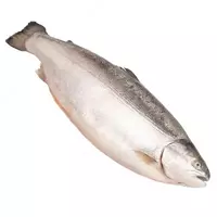 Sovutilgan forel - 110 000 so'm