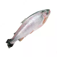 110 000 so'm Sovutilgan forel