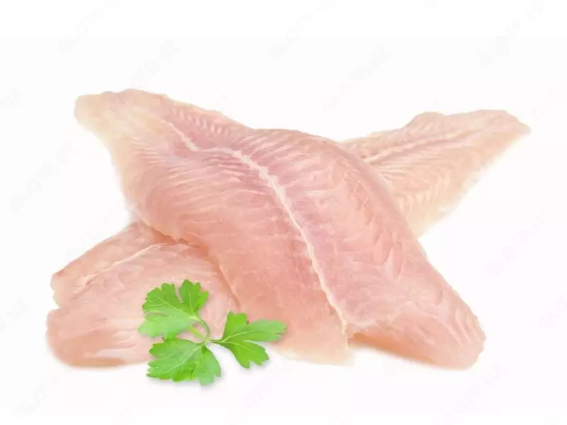 Pangasius filetosi