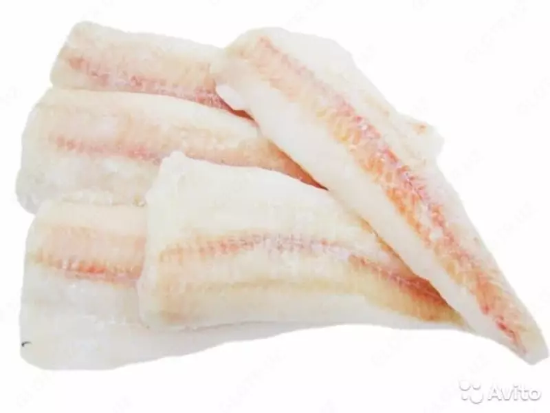 Pangasius filetosi