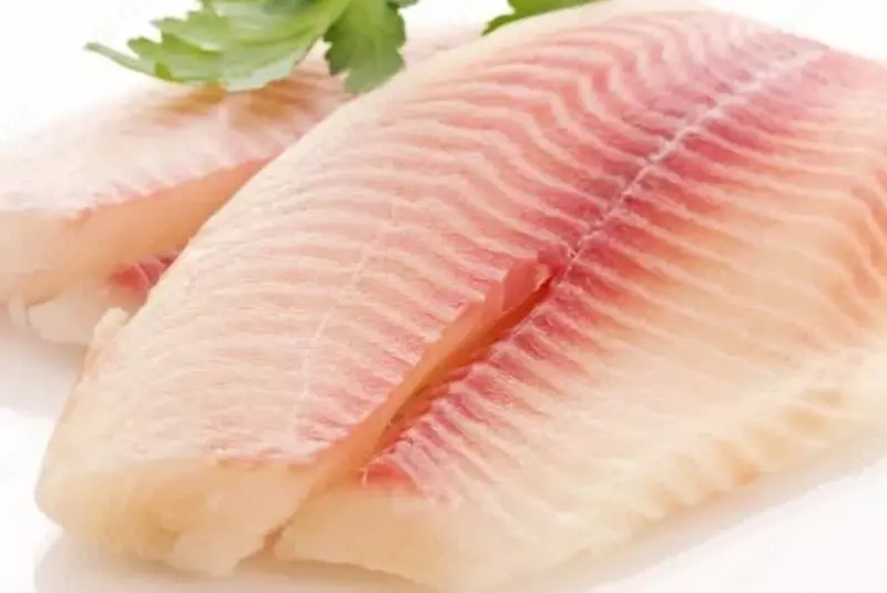 Pangasius filetosi