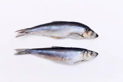 Селёдка среднесоленая