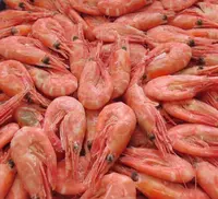 Qirollik qisqichbaqalar 41 / 50 VICI