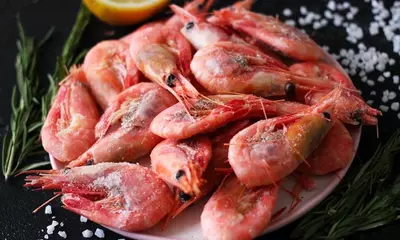 Qirollik qisqichbaqalar 41 / 50 VICI