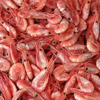 200 000 so'm Qirollik qisqichbaqalar 41 / 50 VICI