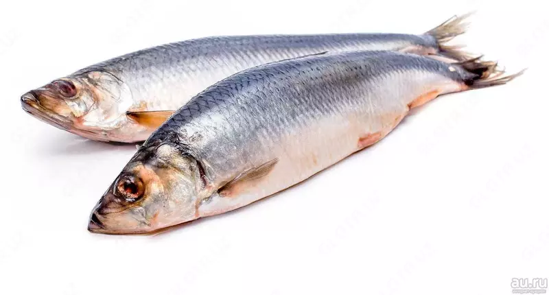 Селёдка свежемороженая