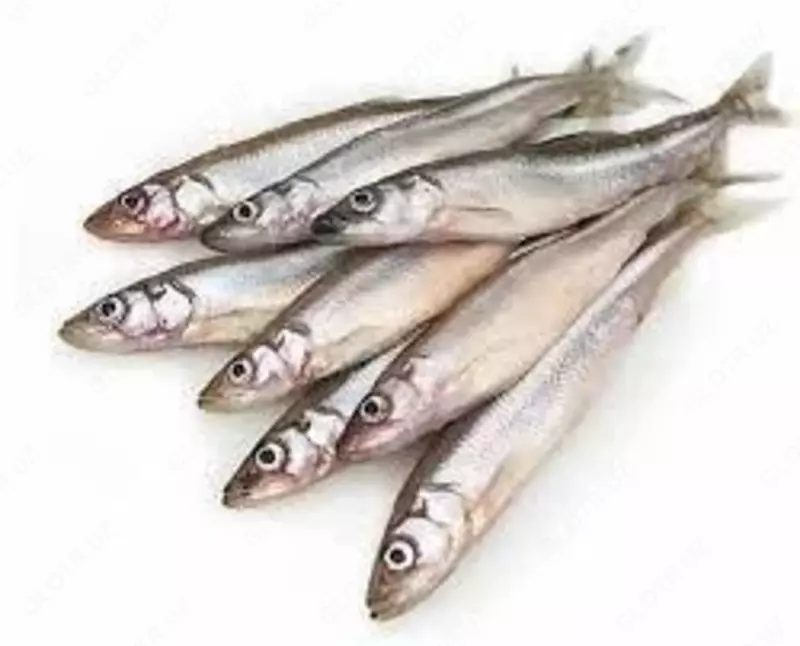 Мойва свежемороженая