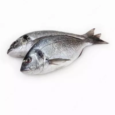 Dorado yangi muzlatilgan 300-400g