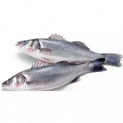 Sibas 400-600g