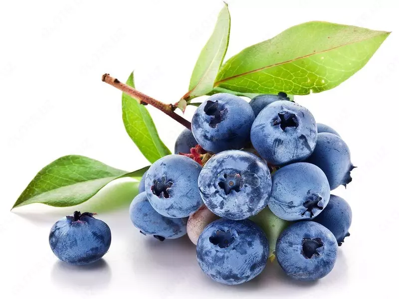 Blueberry